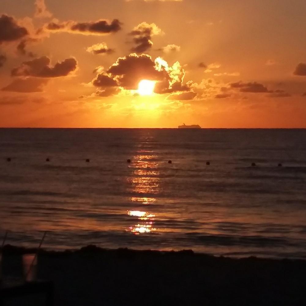 Meet your Posher, Dawn